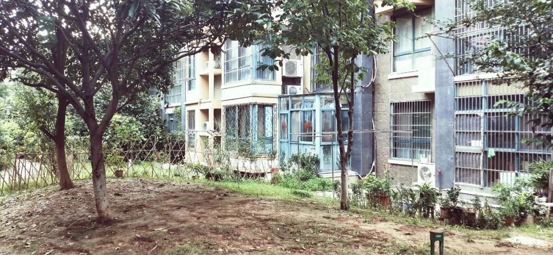 地段很好质量不好的房子,地段好配套全还是现房