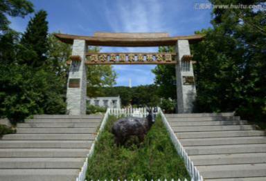 刘公岛夏令营怎么报名,威海刘公岛儿童夏令营