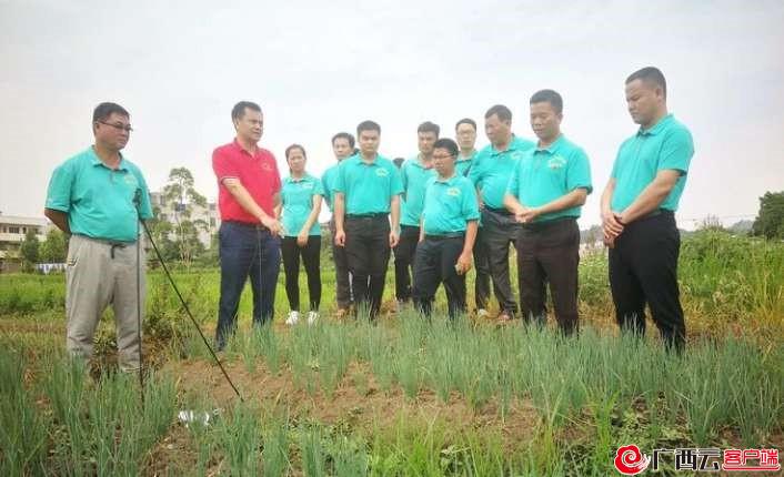 640多名队员扎根乡村服务群众——兴宾区：打造扶贫“五星级工作队”