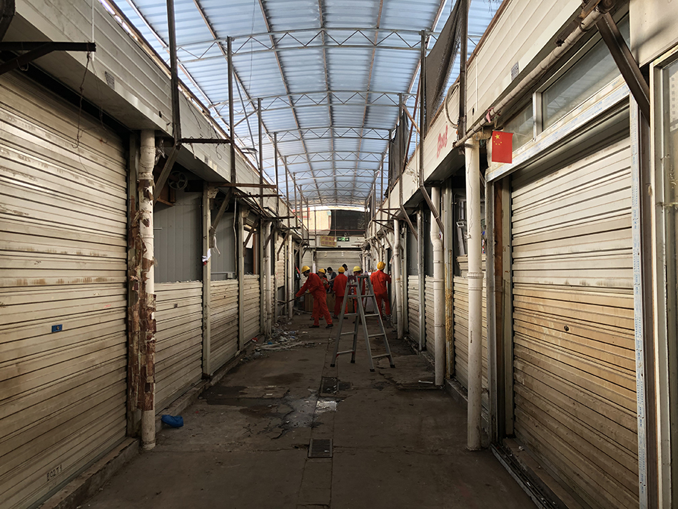 上海市中心最大的花鸟市场,曾经的上海4大花鸟市场