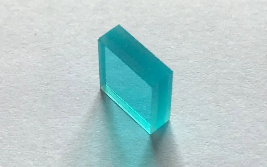 小料观察神秘生物,小料科普大师