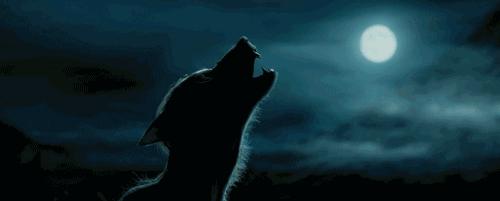 嫁给rapper的方法：改名luna