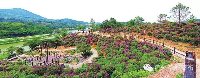花都这些村超级棒!快来助力!