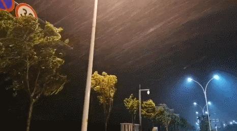 安徽滁州天气台风,滁州台风最新消息今天