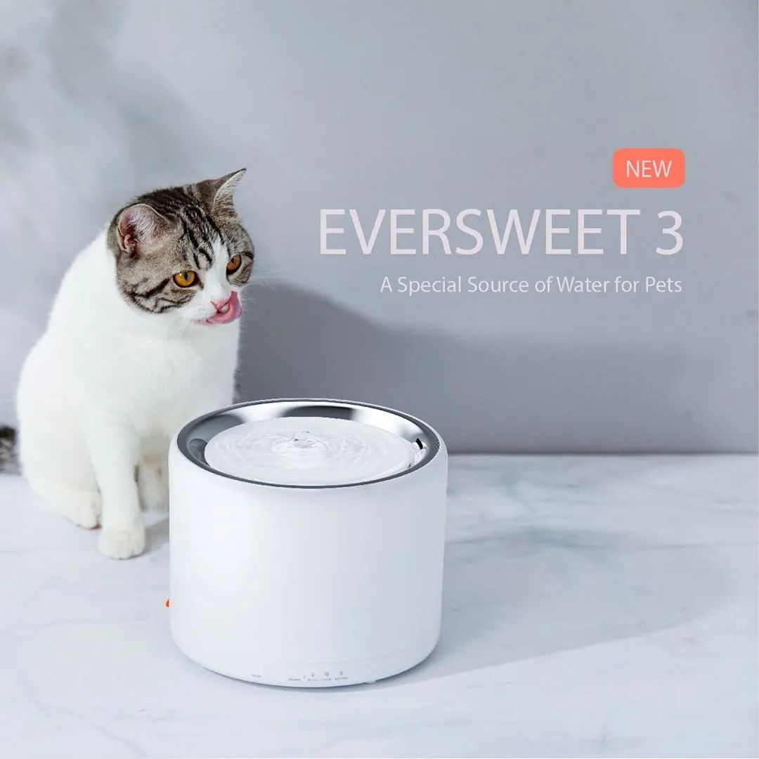 云养猫的品牌有哪些,云养猫设计品牌