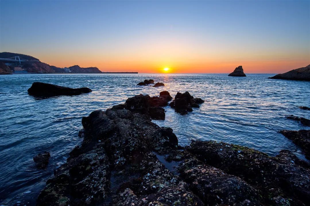 大连海鲜基地有哪些,大连盛产什么海鲜