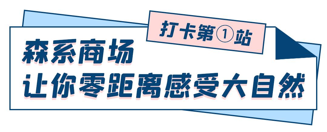 乘风破浪的姐姐们重新出发,乘风破浪的姐姐们要开始重新组团