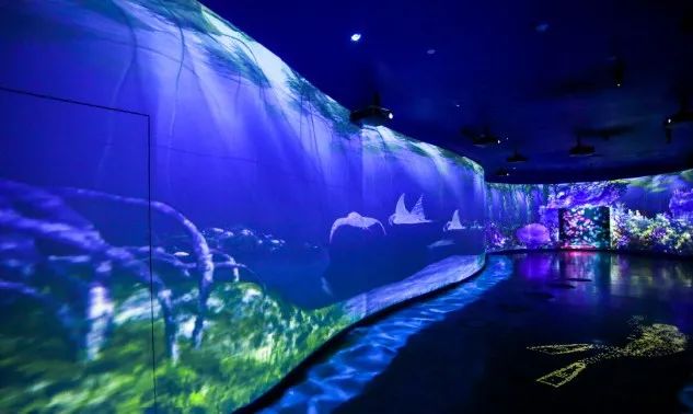 LOOK|欢乐海岸·第9年