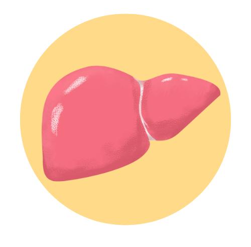 体检有讲究各年龄段应查这些,体检有些指标不正常怎么知道呢