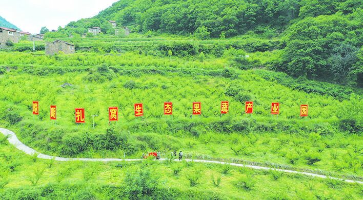 让青红脆李成为脱贫致富的“能量果”｜黑水县扎窝乡西厘村村民王西东发展青红脆李小记