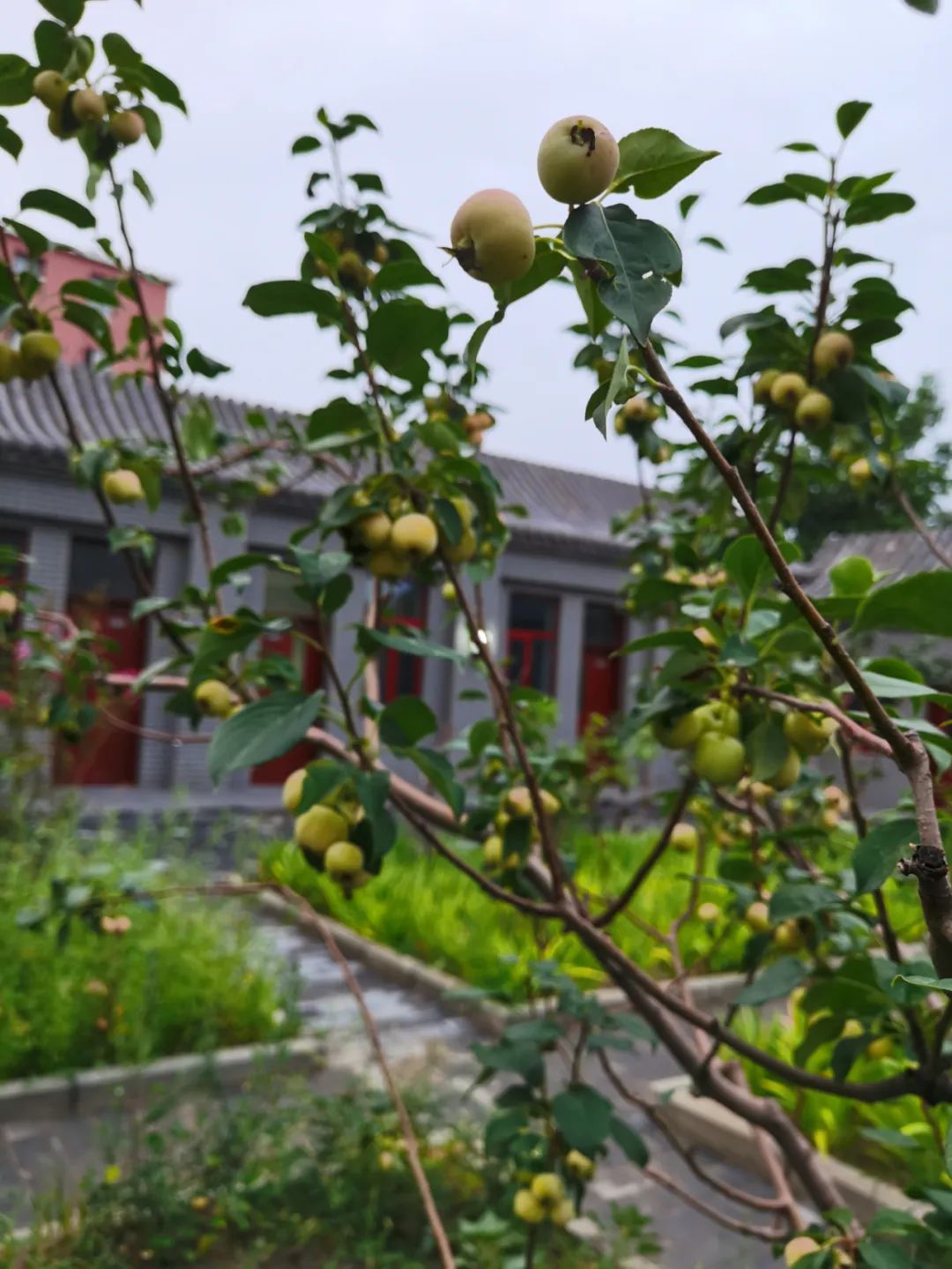 临床心理病房8月起恢复收治患者啦