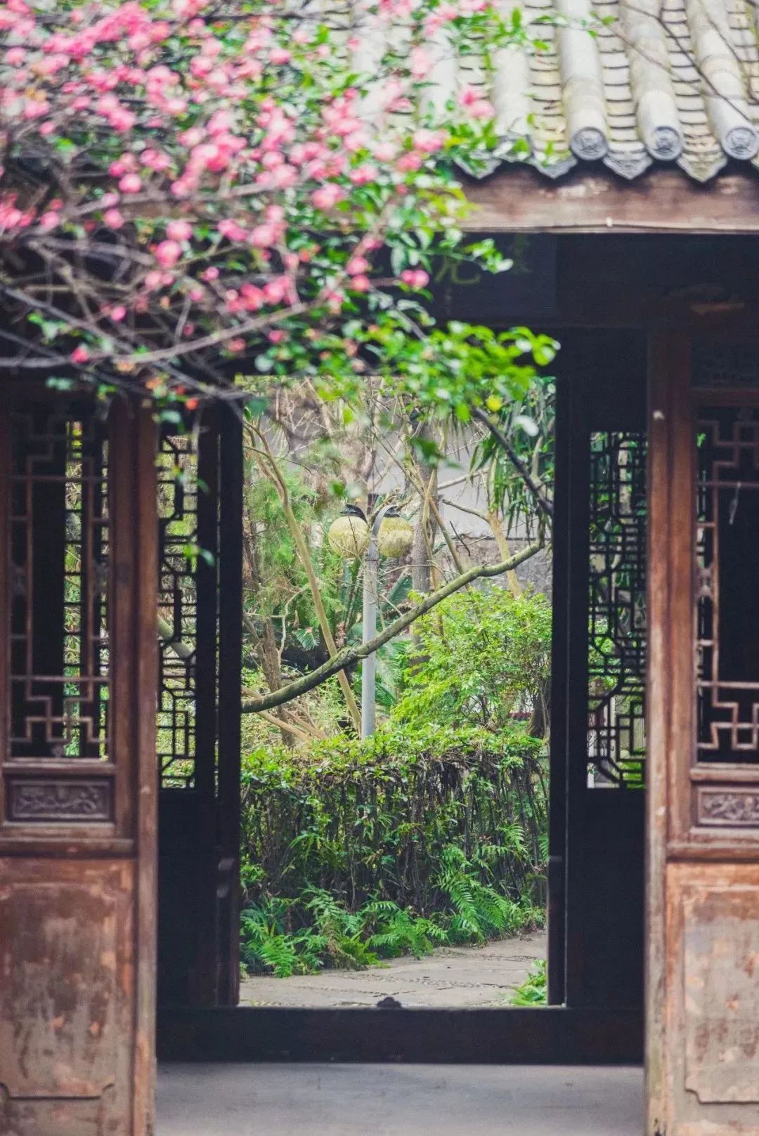 成都景点60岁以上免费门票,成都免费游玩景点推荐