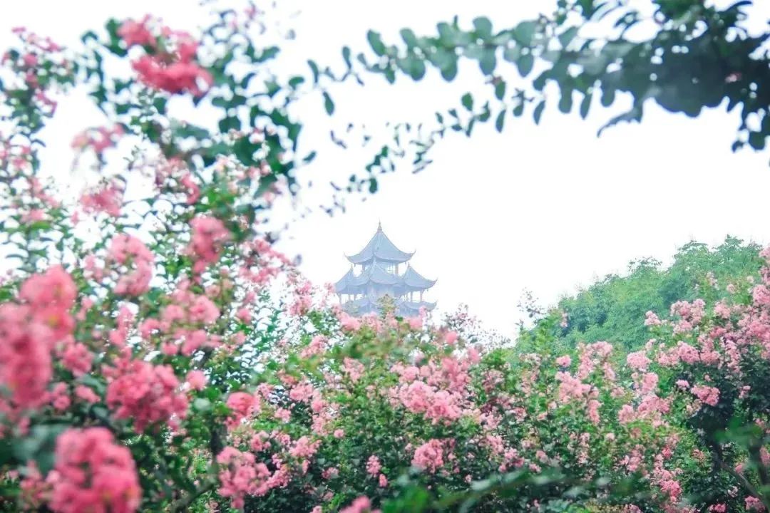 成都免费游玩景点推荐,成都景点免费门票一览表