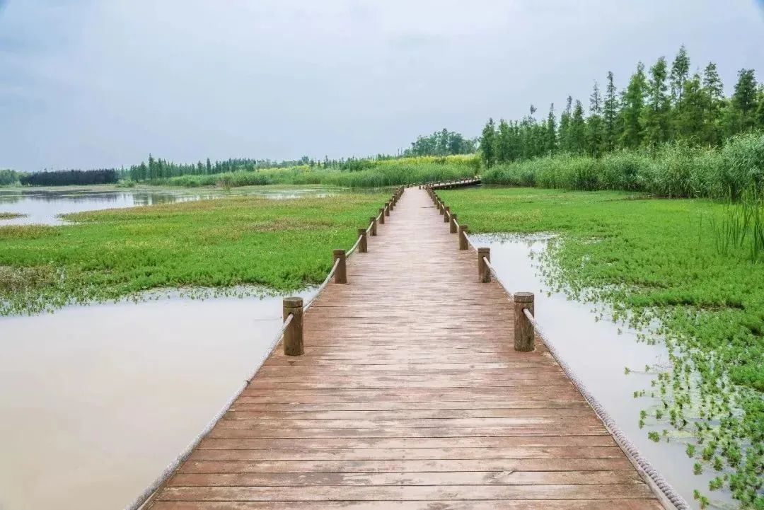 成都景点60岁以上免费门票,成都免费游玩景点推荐