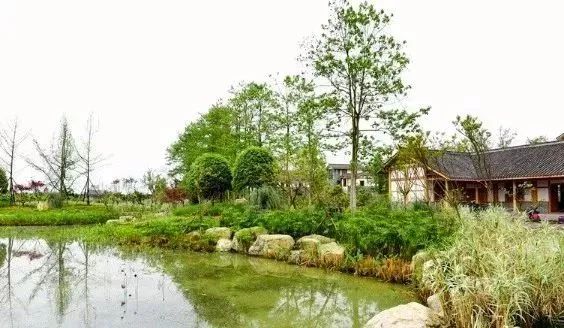 成都免费游玩景点推荐,成都景点免费门票一览表