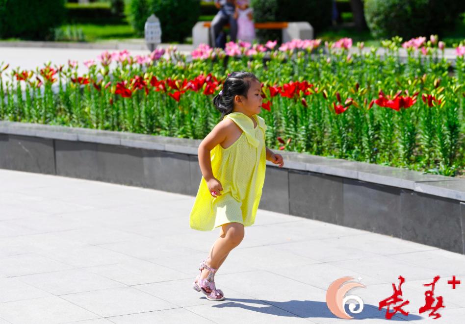 长春最佳百花园赏花季节,长春有什么好看的花海