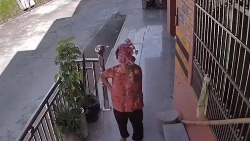 触目惊心被遗忘的摄像头,摄像头温馨又心酸的画面