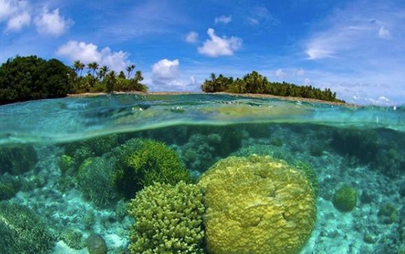 美丽的陷阱纪录片,美丽的陷阱原版视频