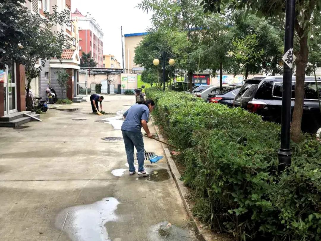 创城工作志愿服务活动通知,创城志愿服务有你有我