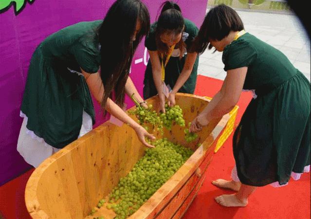 张裕瑞那城堡酒庄葡萄的酿制过程,咸阳张裕瑞那城堡酒庄体验酿酒