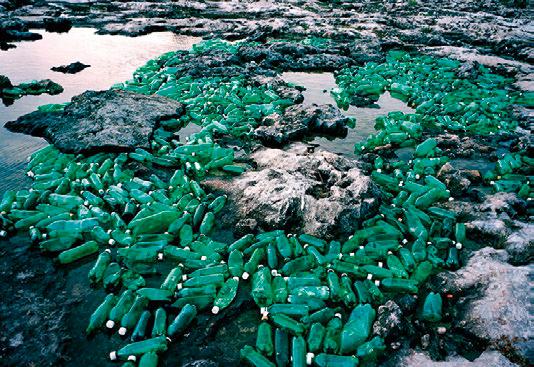 海洋护肤成分,深海植物护肤精粹
