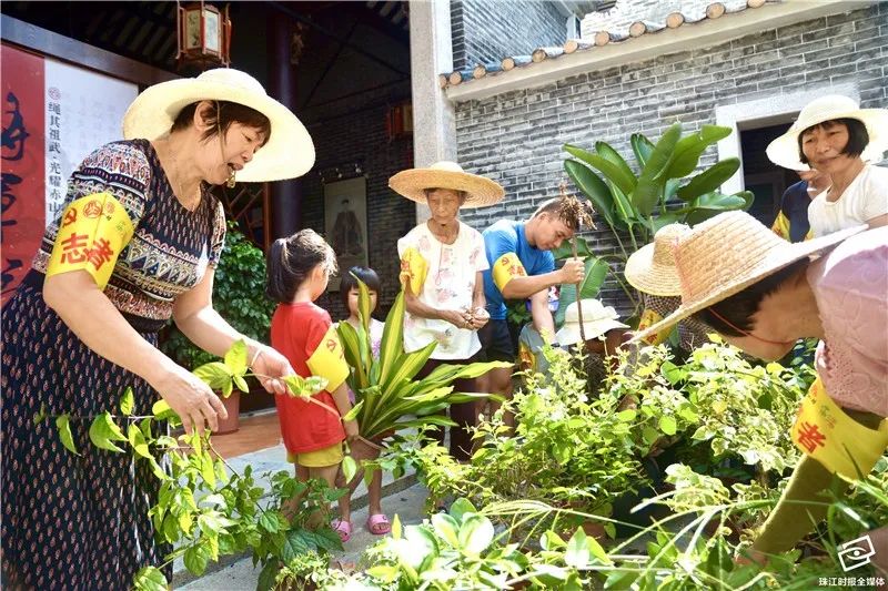 开门见假山鱼池,开门见室内花园