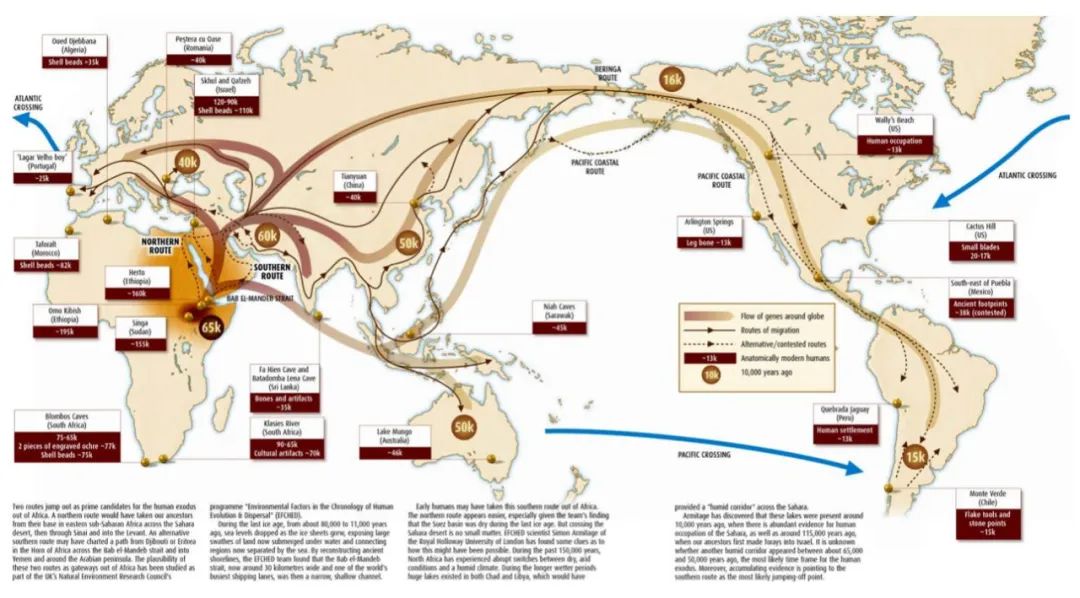 神兽是羊驼吗,羊驼神兽的来历