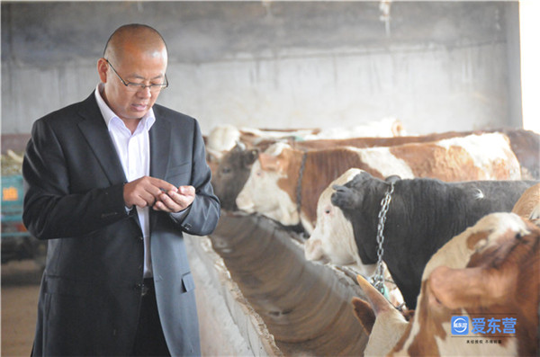 浠ユ枃鏄庝箣鎴戝垱鏂囨槑涔嬪煄,涓滆惀璇氫俊涓烘湰