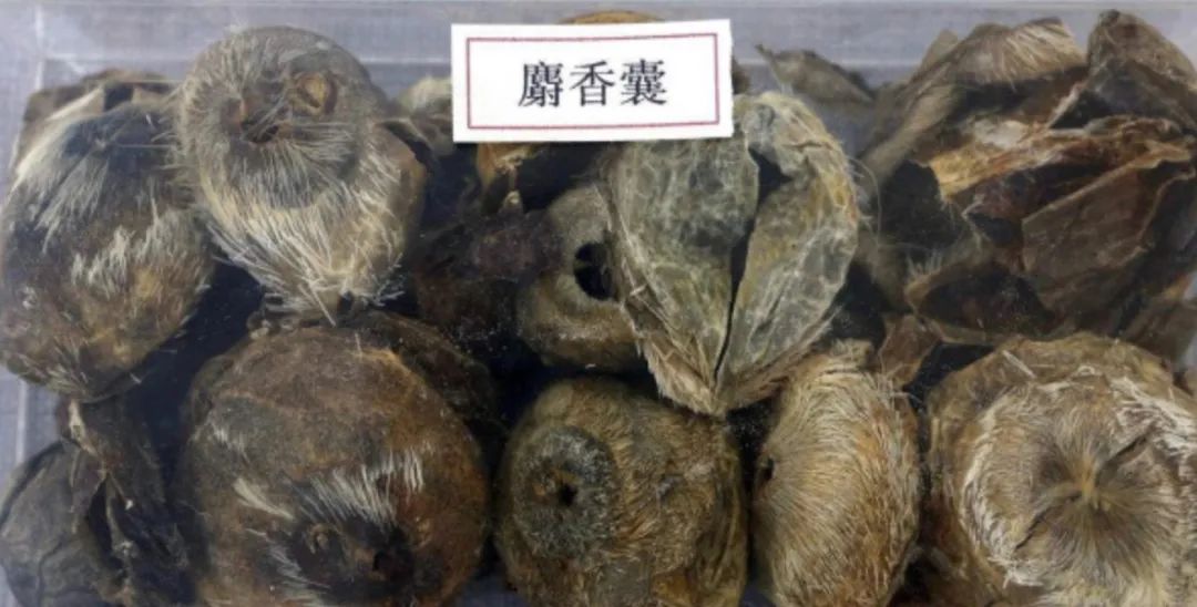 胡博士讲中医视频,胡博士说秦艽中药