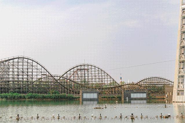 成都欢乐谷教师节家属优惠,武汉欢乐谷医务人员可以带家属吗