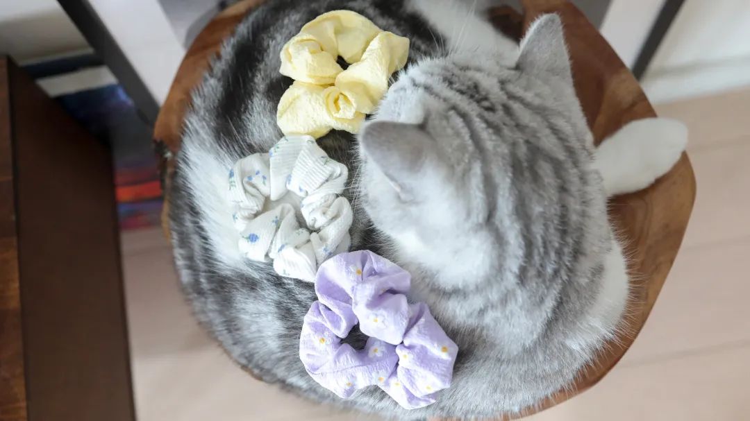 坚果黑巧燕麦谷物脆,坚果黑巧巧克力