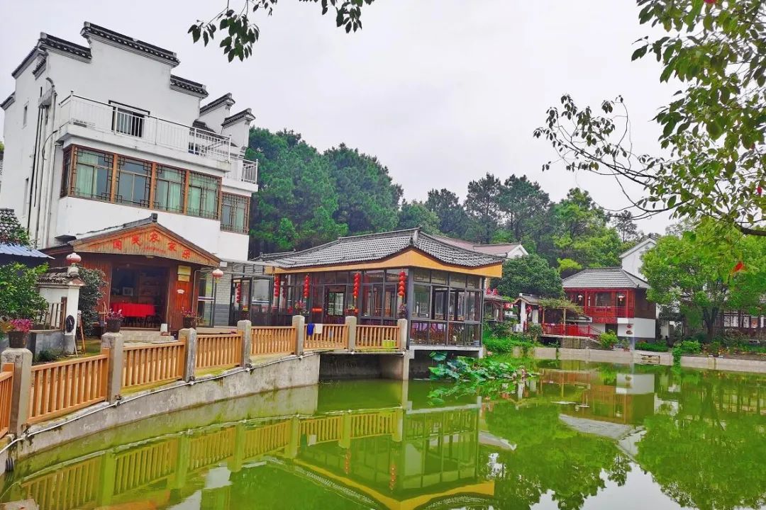 又一所大学要来！高淳，你真的要红了