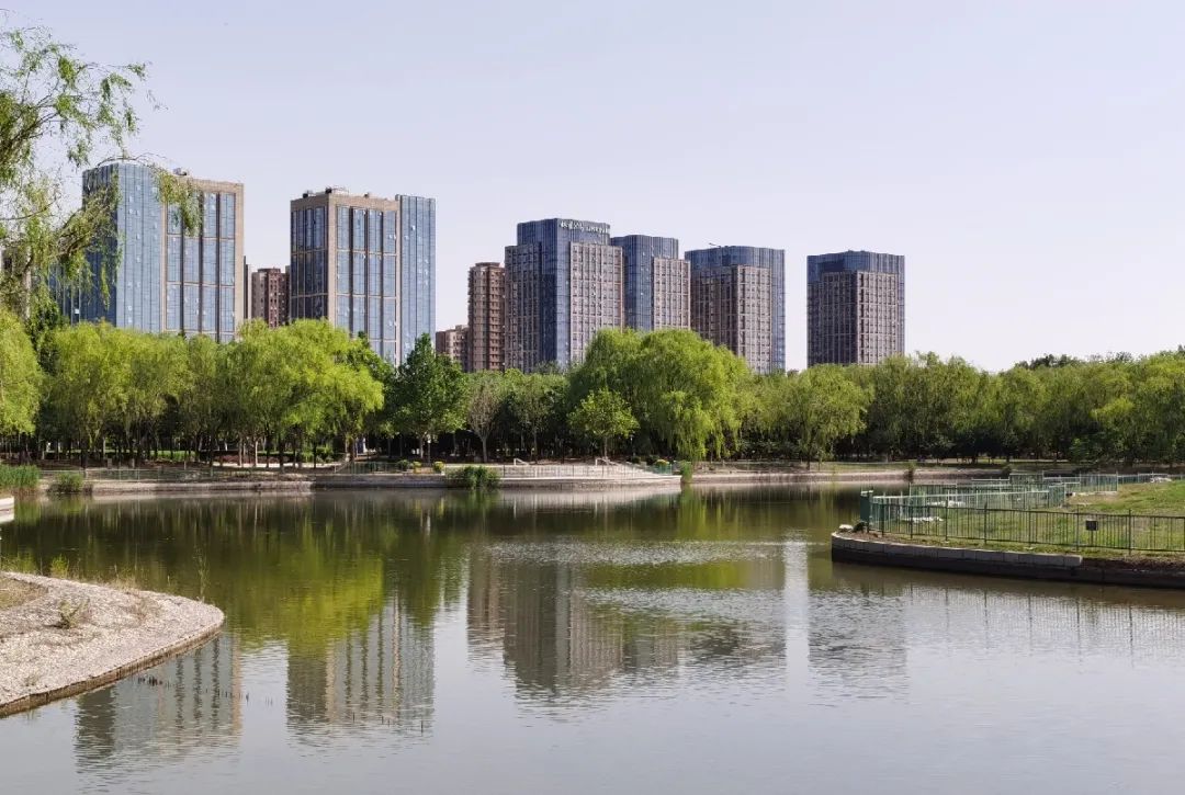 漫游新城|文化荟萃,景色怡人,在这里尽享公园慢时光