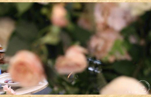 港式茶餐厅水晶虾饺,香港正宗点心虾饺