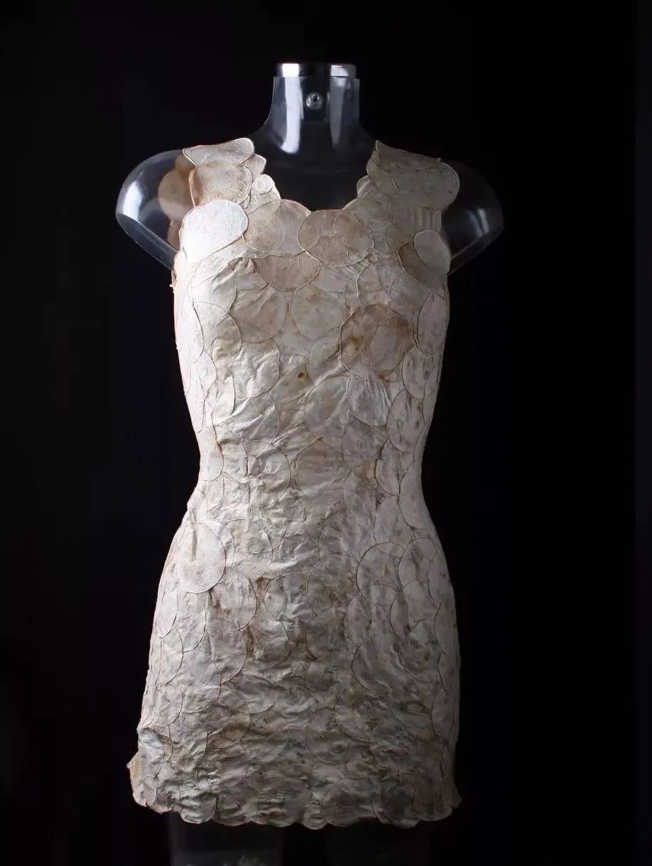 黑科技可拍照,黑科技拍照真实图片