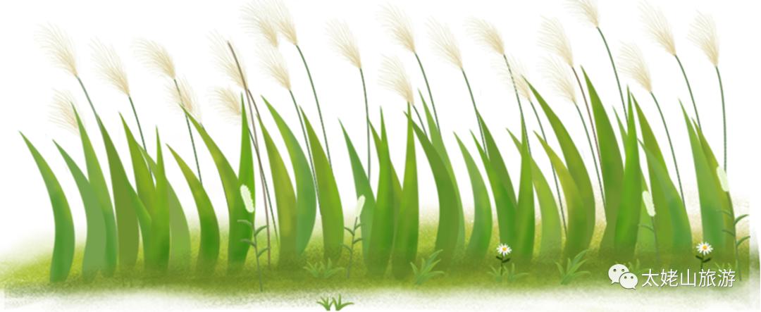 普陀山网红海景民宿推荐,普陀山岛上民宿客栈推荐