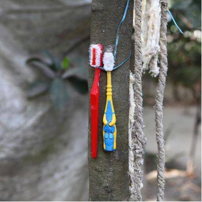 没见过比尔·盖茨强烈推荐的“美元街”，你都不知道自己活得多幸福