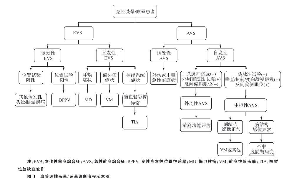 眩晕治疗专家共识,血管性眩晕做哪些检查