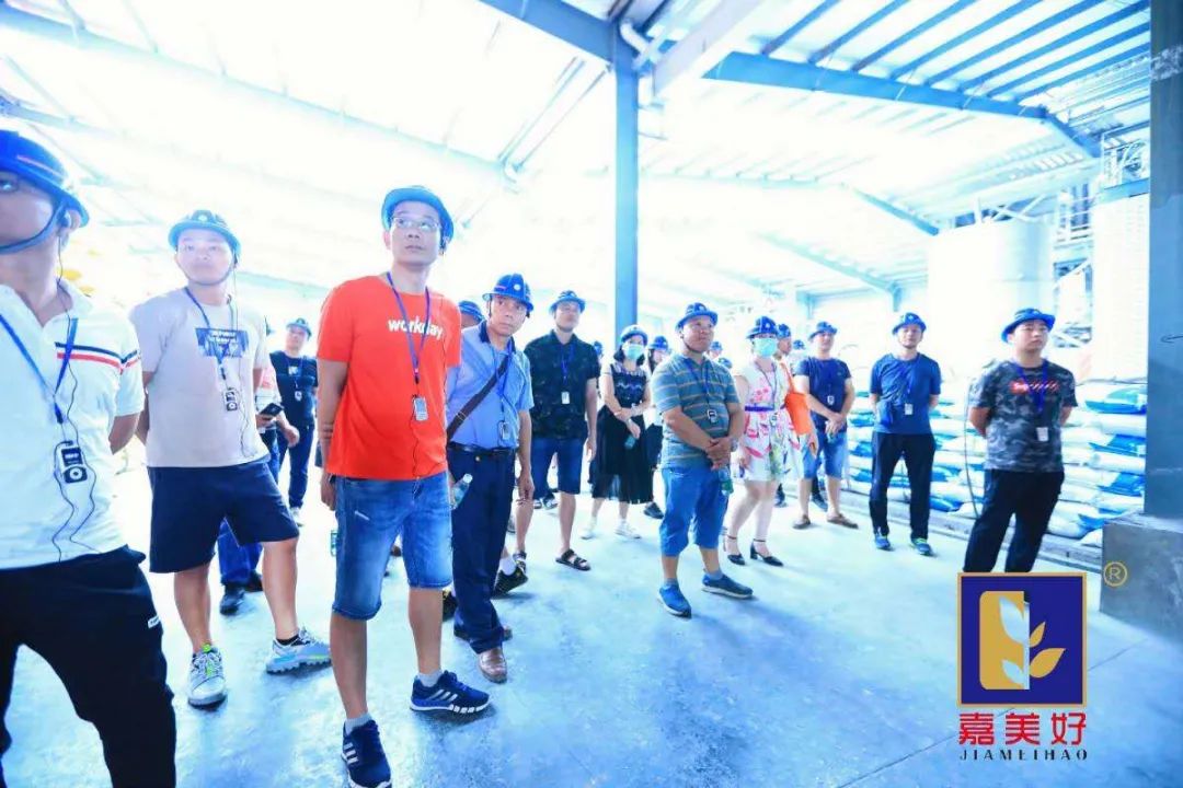 打造国际海藻品牌，广东嘉美好开启“美好”时代