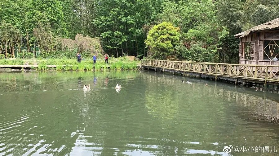 成都周边一日游网红打卡地民宿,成都网红打卡地旅游民宿