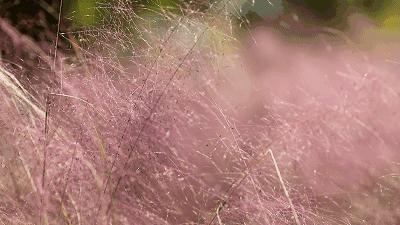 嘘！青白江名媛群邀你进群！让你轻松在朋友圈c位出道