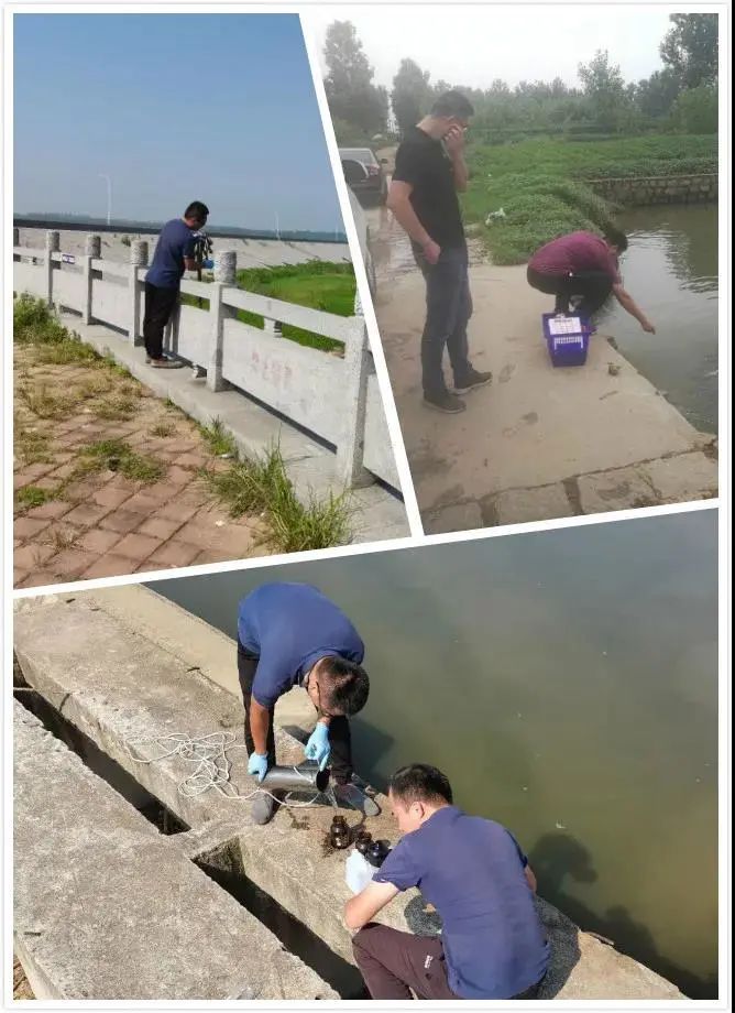 *今条头日**：临港