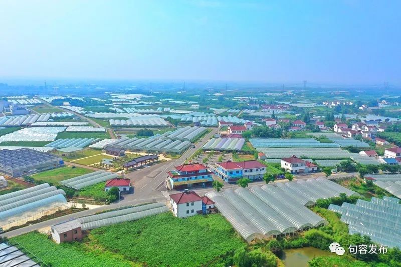 小句调查|在希望的田野上探寻小康“密码”