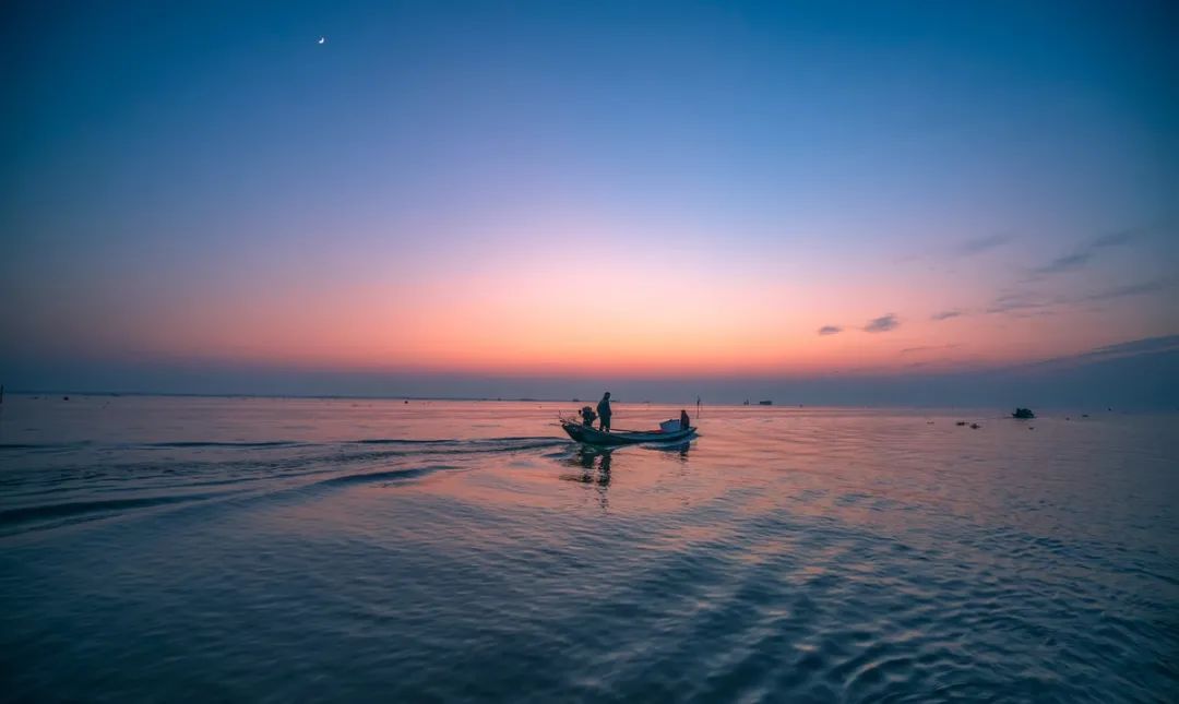 【大美荆州】洪湖，不仅有浪打浪，还有湿地风光和湖鲜全宴！
