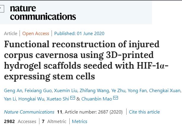 世界首例|男性的福音！3D打印水凝胶成功修复生殖器缺损，让试验兔成功交配并产子