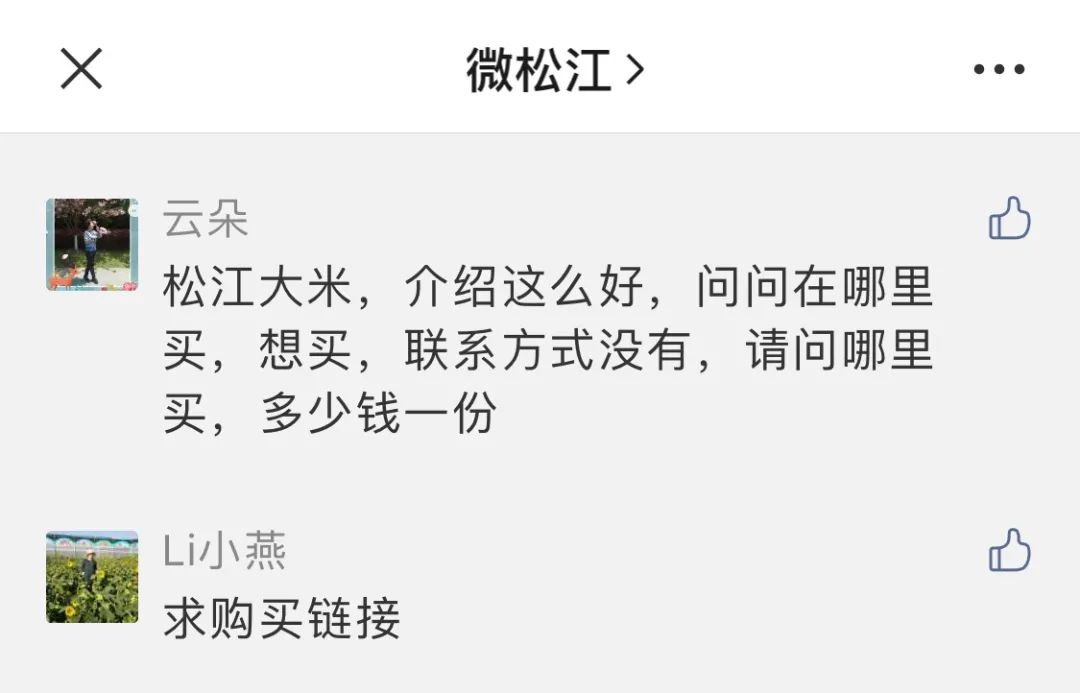 上海今年松江新大米哪里买,松江新大米哪里买