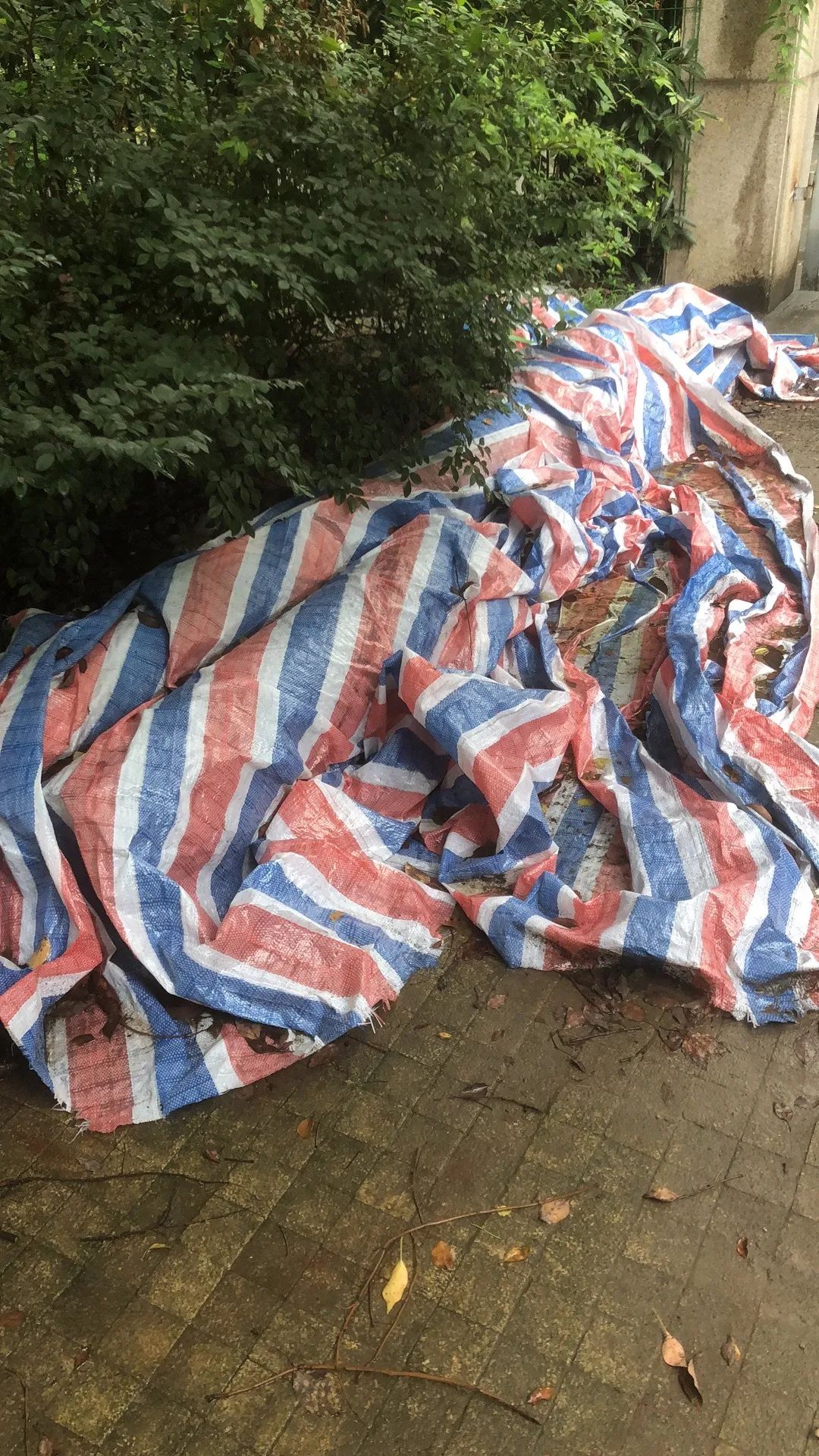 欠收拾图片,宝宝欠收拾