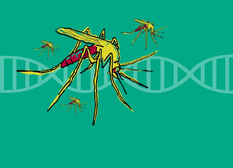 人类终于找到了对蚊子“种族灭绝”的杀手锏