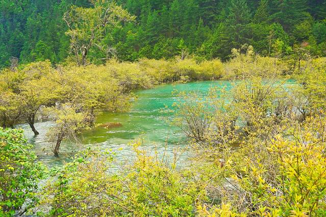初秋,与神话九寨的浪漫之约