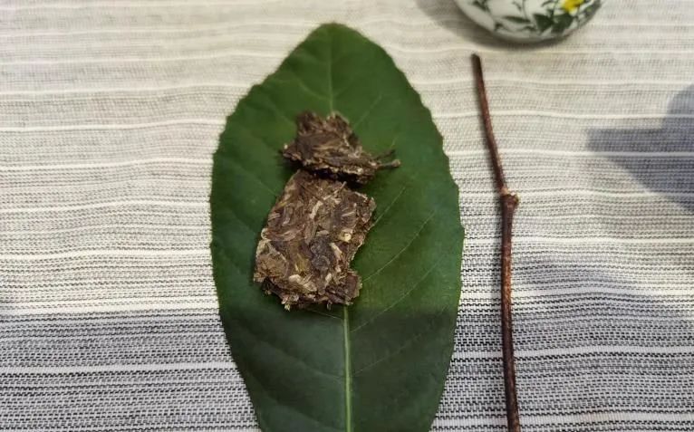 健康生活嘉年华,健康养生节活动